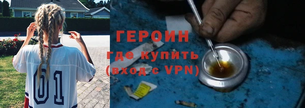 гидра Заречный