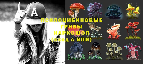 спайс Мегион
