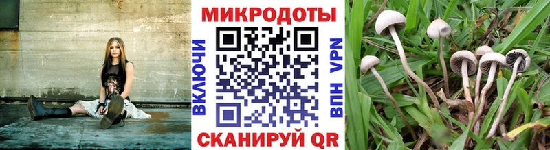 kraken рабочий сайт  закладки  Лысково  Псилоцибиновые грибы Cubensis 